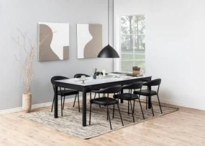 European Design Dining Room Furniture Ergonomic Steel Leg Dining Chair