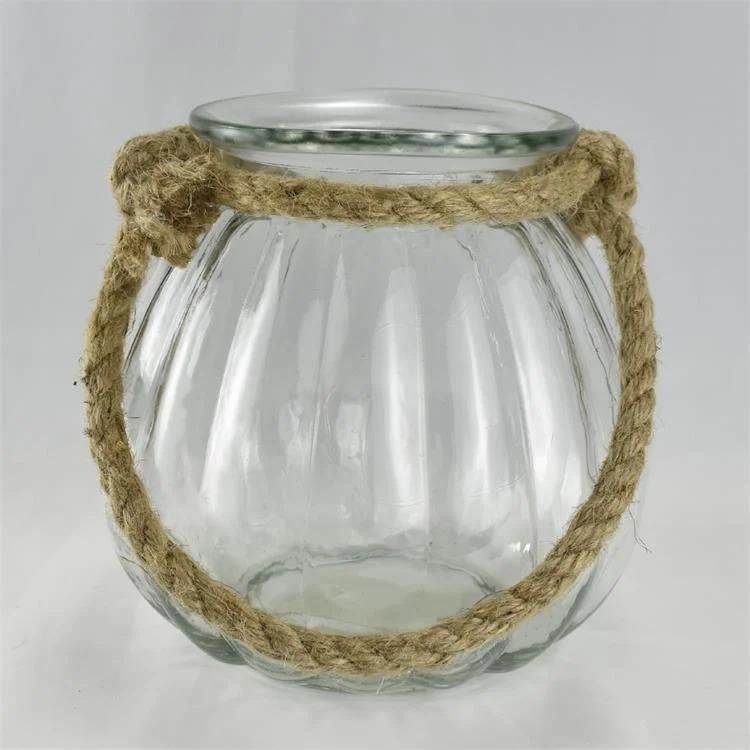 European-Style Hydroponic Plant Pots Clear Glass Flower Vase Transparent Flower Vase Desk Decoration